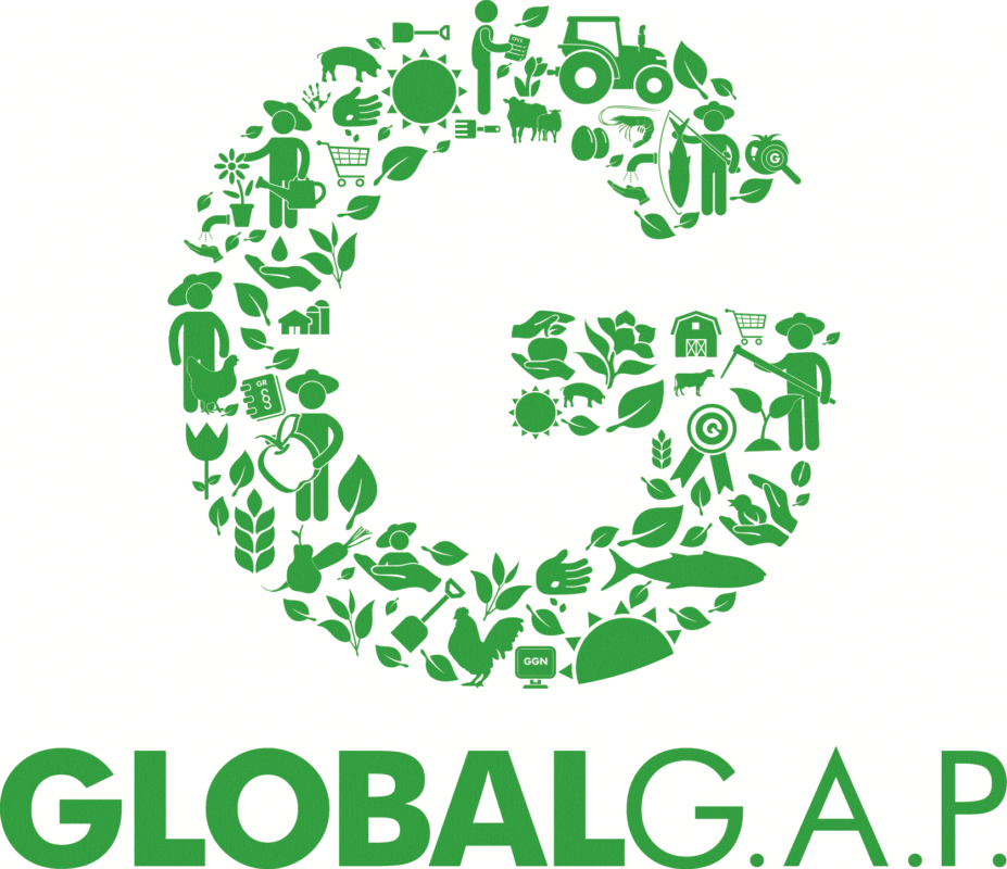 Myrtilles certifiées Global Gap