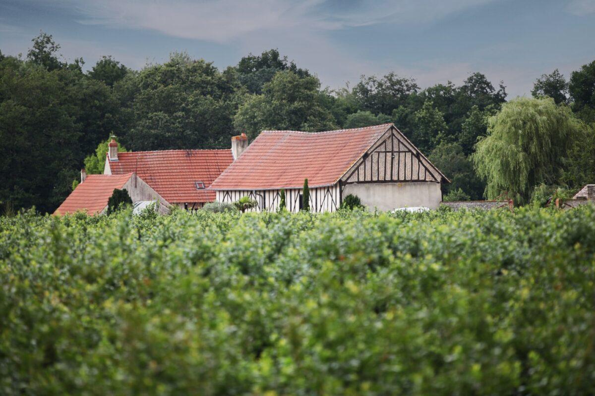 Les vergers de Myrtille de Sologne