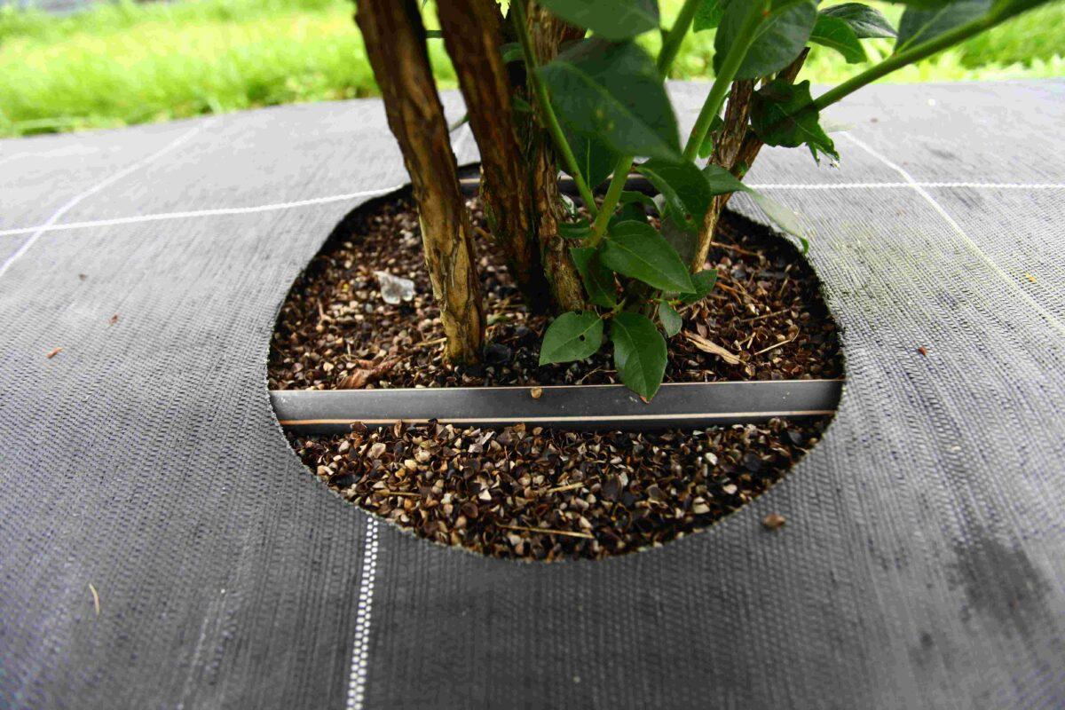 Système de goutte-à-goutte pour économiser l'eau