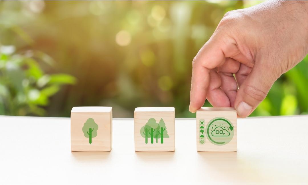 Développer une stratégie RSE