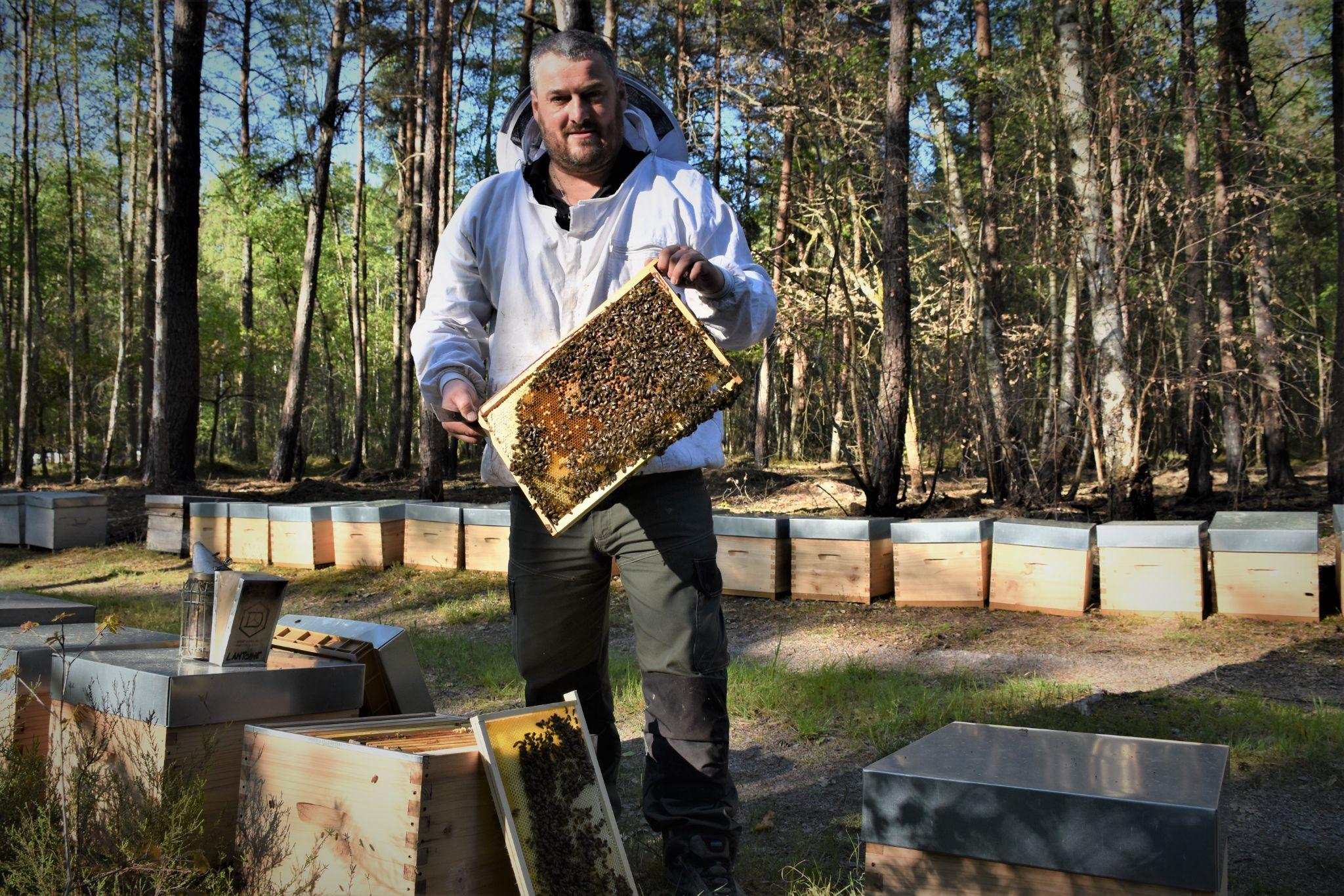 Refuge pour les abeilles et apiculteur
