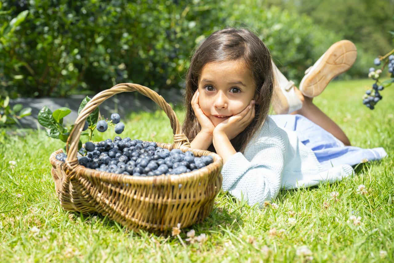 Petite Fille et myrtilles de Sologne HVE