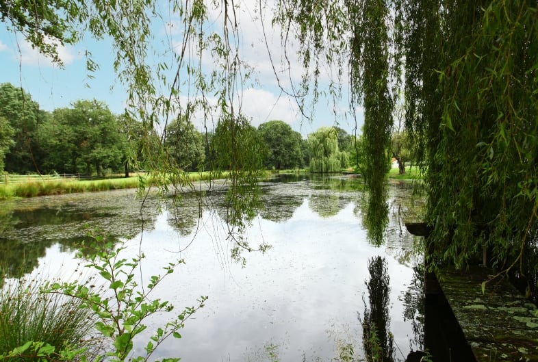 Paradis de verdure