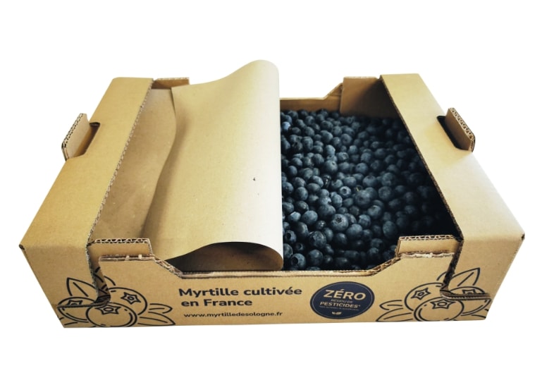 Colis de myrtilles en vrac et colis famille