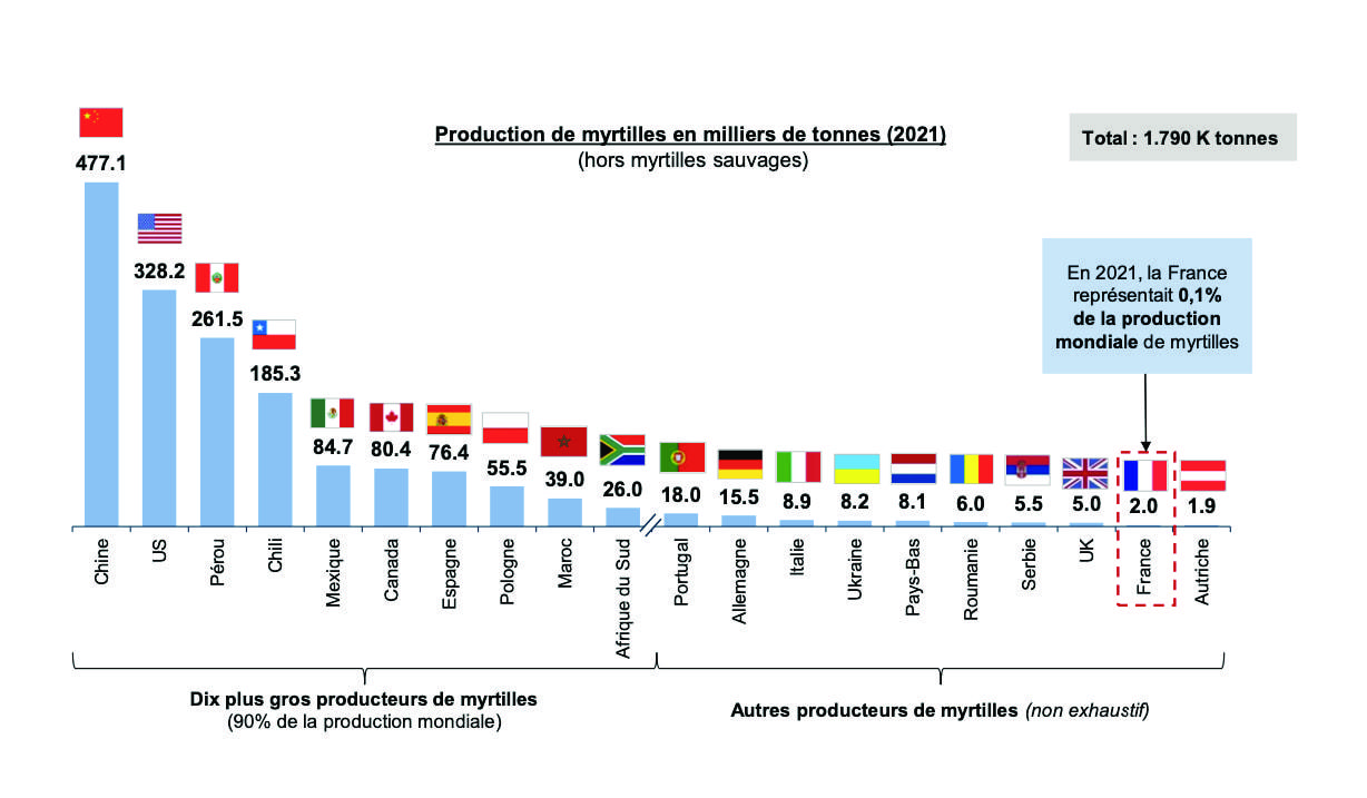 producteur français de myrtille