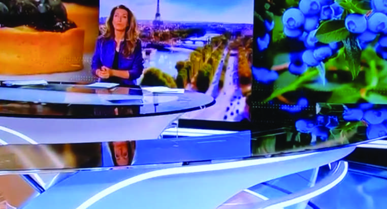 Reportage de TF1 dans nos vergers de myrtilles