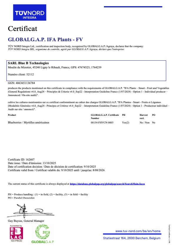 Global Gap Myrtille de Sologne