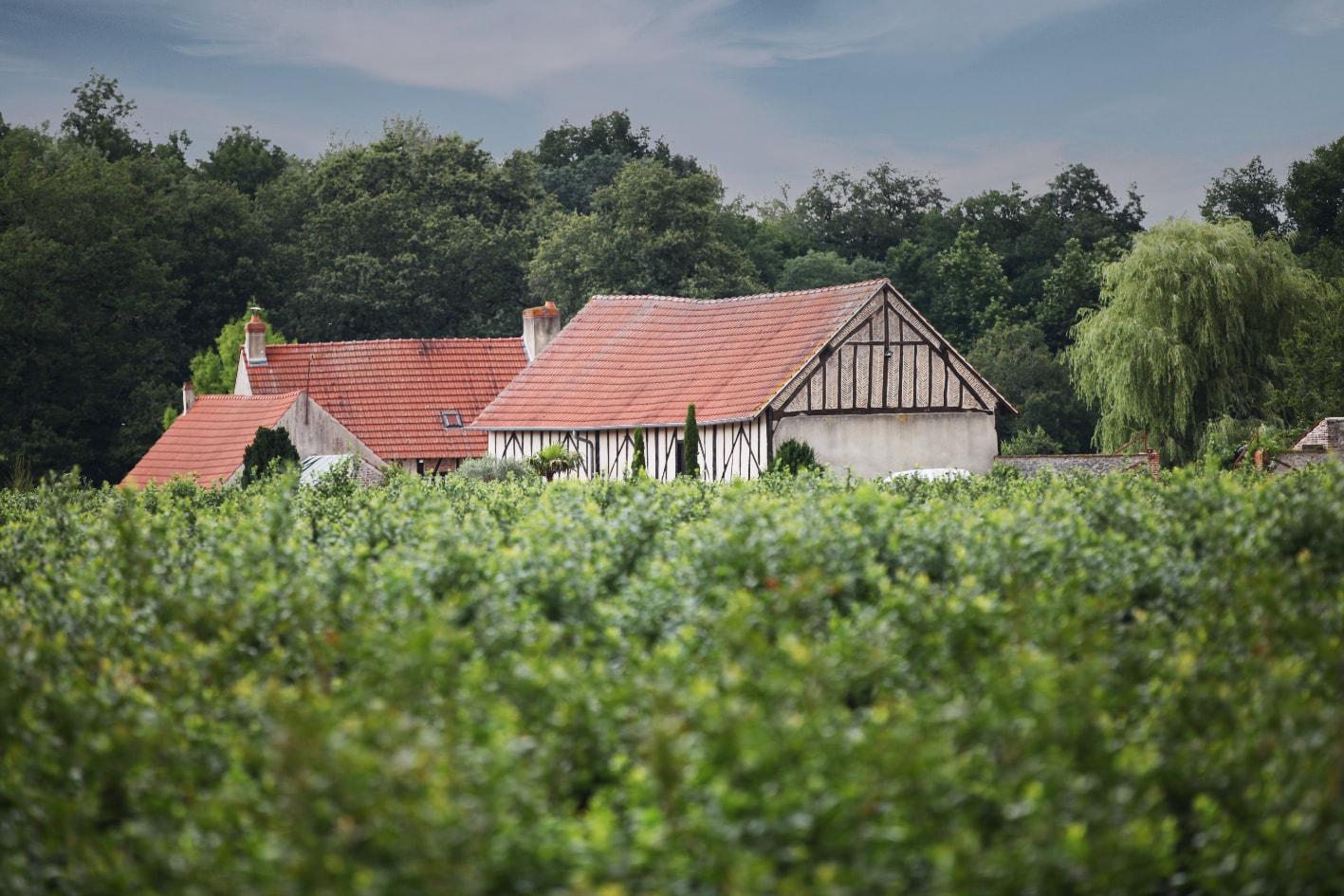 Les vergers de Myrtille de Sologne