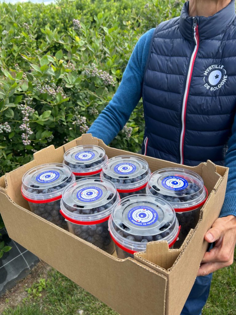 myrtilles cultivées en agriculture raisonnée