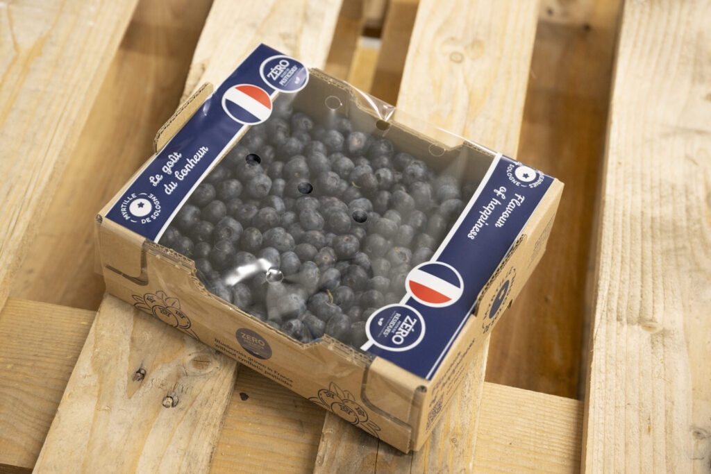 myrtilles cultivées en agriculture raisonnée
