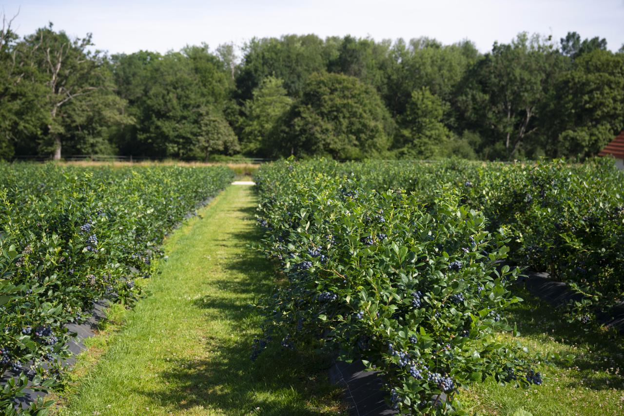 Connaissez-vous la lutte intégrée ?